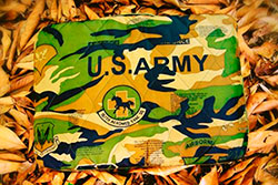 ARMY PRO